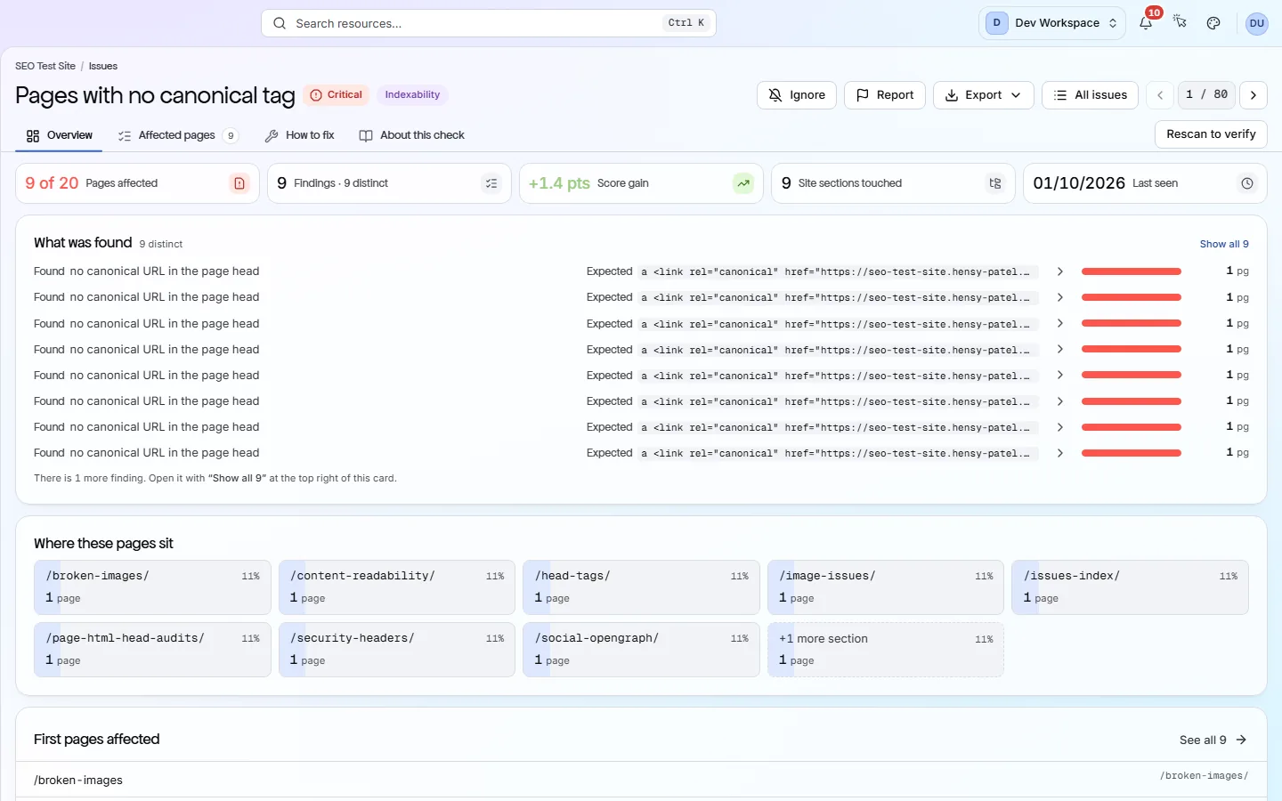 An issue report showing the pages affected, the score gain from fixing it and the list of affected pages.